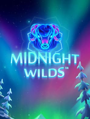 Midnight Wilds